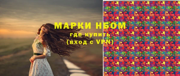 соль ск Алзамай