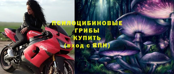 соль ск Алзамай