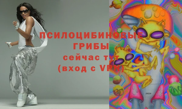 соль ск Алексеевка