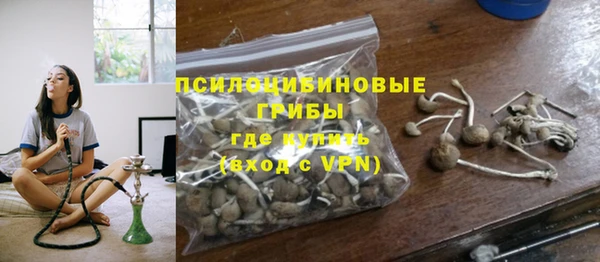 соль ск Алзамай