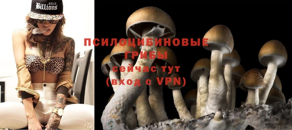 шишки Пролетарск