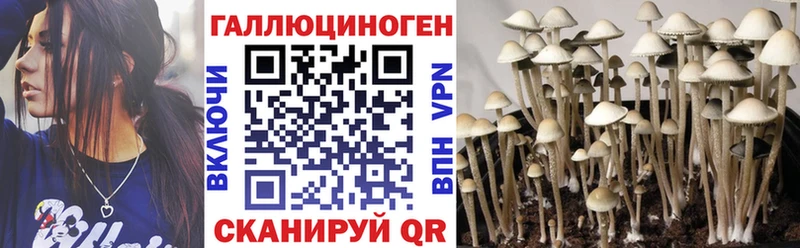 Псилоцибиновые грибы Psilocybine cubensis  mega как войти  Мензелинск 
